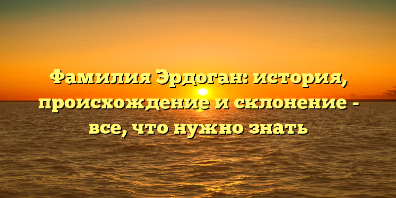 Фамилия Эрдоган: история, происхождение и склонение - все, что нужно знать