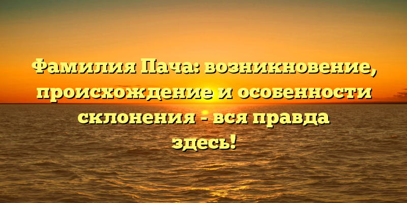 Фамилия Пача: возникновение, происхождение и особенности склонения - вся правда здесь!