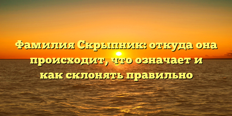 Фамилия Скрыпник: откуда она происходит, что означает и как склонять правильно