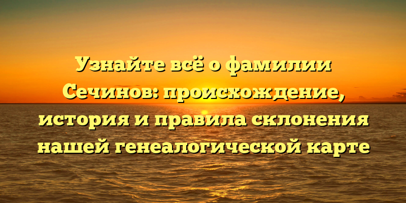 Узнайте всё о фамилии Сечинов: происхождение, история и правила склонения нашей генеалогической карте