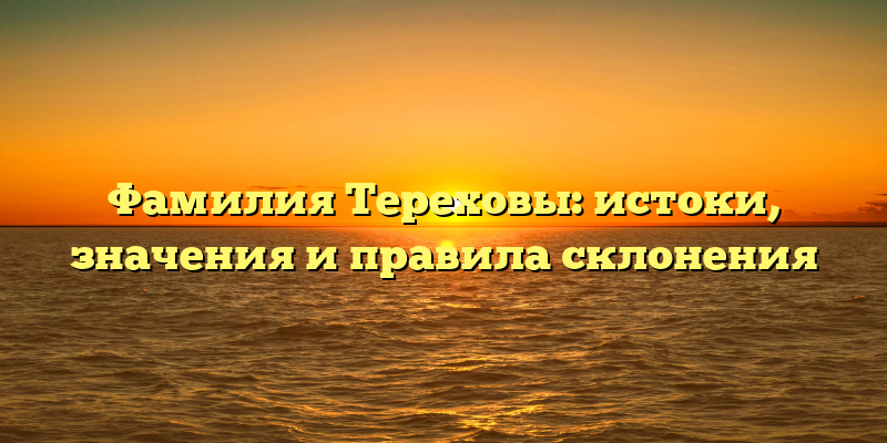 Фамилия Тереховы: истоки, значения и правила склонения
