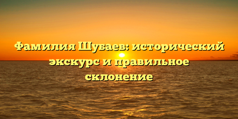 Фамилия Шубаев: исторический экскурс и правильное склонение