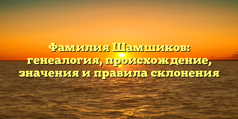 Фамилия Шамшиков: генеалогия, происхождение, значения и правила склонения