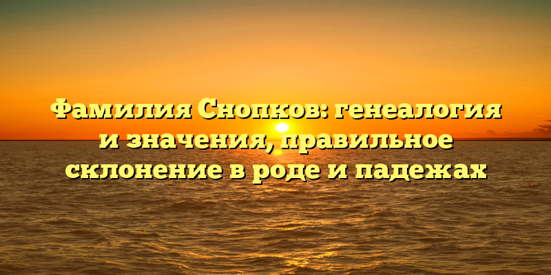 Фамилия Снопков: генеалогия и значения, правильное склонение в роде и падежах