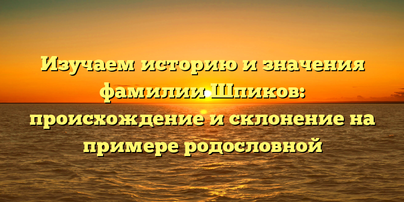 Изучаем историю и значения фамилии Шпиков: происхождение и склонение на примере родословной