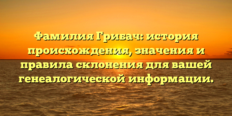 Фамилия Грибач: история происхождения, значения и правила склонения для вашей генеалогической информации.