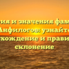 История и значения фамилии Анфилогов: узнайте происхождение и правильное склонение