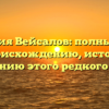Фамилия Вейсалов: полный гайд по происхождению, истории и склонению этого редкого имени