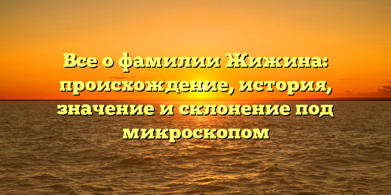 Все о фамилии Жижина: происхождение, история, значение и склонение под микроскопом