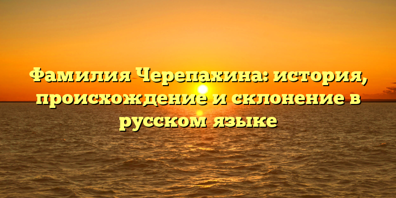 Фамилия Черепахина: история, происхождение и склонение в русском языке