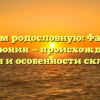 Изучаем родословную: Фамилия Андрюнин — происхождение, история и особенности склонения