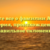 Узнайте все о фамилии Ашнин: история, происхождение и правильное склонение.