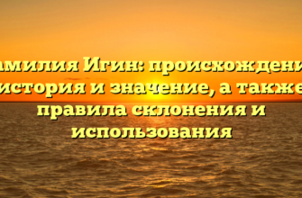 Фамилия Игин: происхождение, история и значение, а также правила склонения и использования