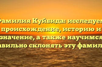 Фамилия Куйбида: исследуем происхождение, историю и значение, а также научимся правильно склонять эту фамилию