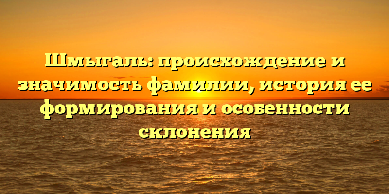 Шмыгаль: происхождение и значимость фамилии, история ее формирования и особенности склонения