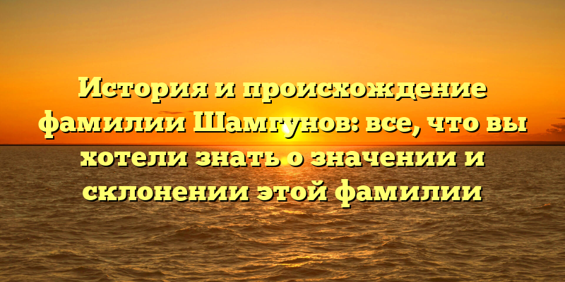 История и происхождение фамилии Шамгунов: все, что вы хотели знать о значении и склонении этой фамилии