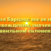 Фамилия Бардош: все об истории происхождения, значениях и правильном склонении