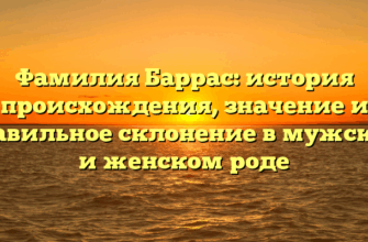 Фамилия Баррас: история происхождения, значение и правильное склонение в мужском и женском роде