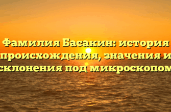 Фамилия Басакин: история происхождения, значения и склонения под микроскопом