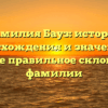 Фамилия Бауз: история происхождения и значения, а также правильное склонение фамилии