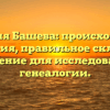 Фамилия Башева: происхождение и история, правильное склонение и значение для исследователей генеалогии.