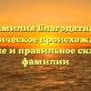 Фамилия Благодатная: историческое происхождение, значение и правильное склонение фамилии