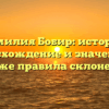 Фамилия Бобир: история, происхождение и значения, а также правила склонения
