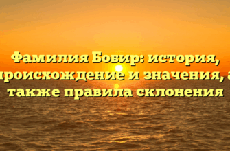 Фамилия Бобир: история, происхождение и значения, а также правила склонения