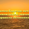 Фамилия Бодягин: история происхождения, значение и правила склонения.