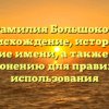 Фамилия Большоков: происхождение, история и значение имени, а также советы по склонению для правильного использования