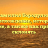Фамилия Бородулин: происхождение, история и значение, а также как правильно склонять