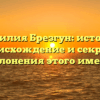 Фамилия Брезгун: история, происхождение и секреты склонения этого имени