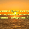 Фамилия Брик: история, происхождение и особенности склонения — подробный обзор