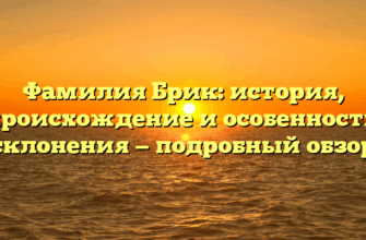 Фамилия Брик: история, происхождение и особенности склонения — подробный обзор