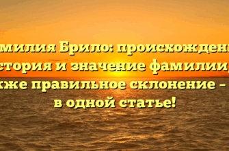 Фамилия Брило: происхождение, история и значение фамилии, а также правильное склонение – все в одной статье!