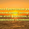 Фамилия Бубенчиков: узнайте происхождение, историю и значение этой фамилии, а также правильное склонение!