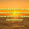 Фамилия Будаки: история и значения фамилии, происхождение и правильное склонение