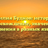 Фамилия Будков: история и происхождение, значения и склонения в разных языках
