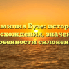 Фамилия Бузе: история происхождения, значения и особенности склонения