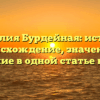 Фамилия Бурдейная: история, происхождение, значение и склонение в одной статье на сайте