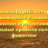 Фамилия Бурий: история, происхождение и значимость фамилии в родословной. Уникальные правила склонения фамилии