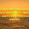 Фамилия Бусова: происхождение, история и значения — все, что вы хотели знать о склонении этого имени
