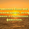 Фамилия Быш: всё о происхождении, истории, значении и склонении этой фамилии.
