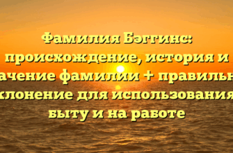 Фамилия Бэггинс: происхождение, история и значение фамилии + правильное склонение для использования в быту и на работе