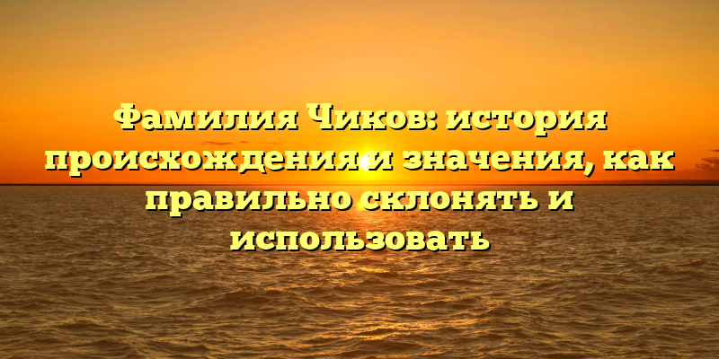 Фамилия Чиков: история происхождения и значения, как правильно склонять и использовать