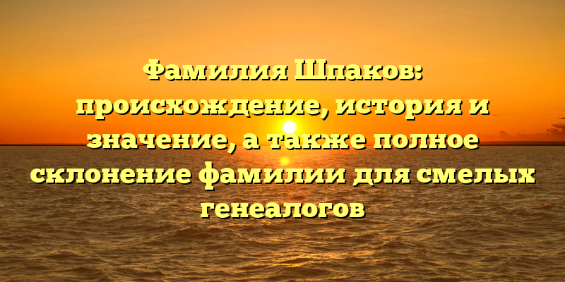 Фамилия Шпаков: происхождение, история и значение, а также полное склонение фамилии для смелых генеалогов