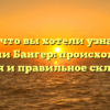 Все, что вы хотели узнать о фамилии Бангер: происхождение, история и правильное склонение!
