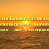 Фамилия Бахмутская: история происхождения, значения и склонения — все, что нужно знать