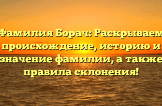 Фамилия Борач: Раскрываем происхождение, историю и значение фамилии, а также правила склонения!