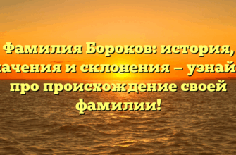 Фамилия Бороков: история, значения и склонения — узнайте про происхождение своей фамилии!